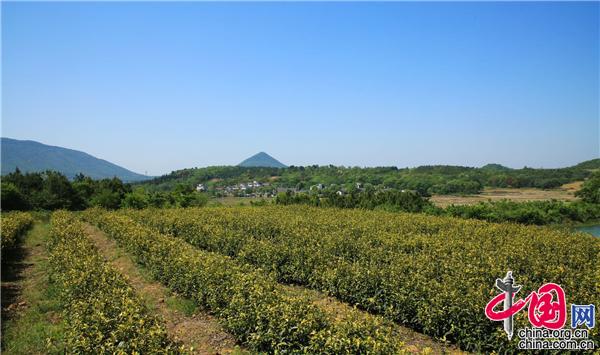 马鞍山市含山县决战决胜脱贫攻坚